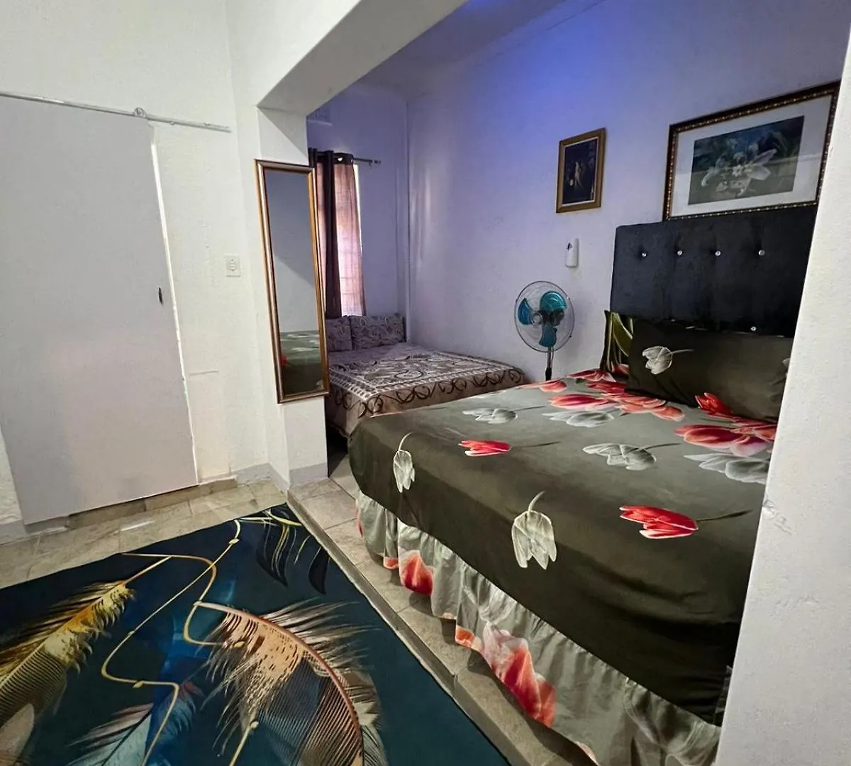 Couette-café M5 Park Bed And Breakfast Le Cap